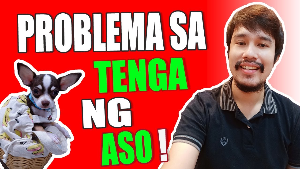 Problema Sa Tenga Ng Aso | MasterVet