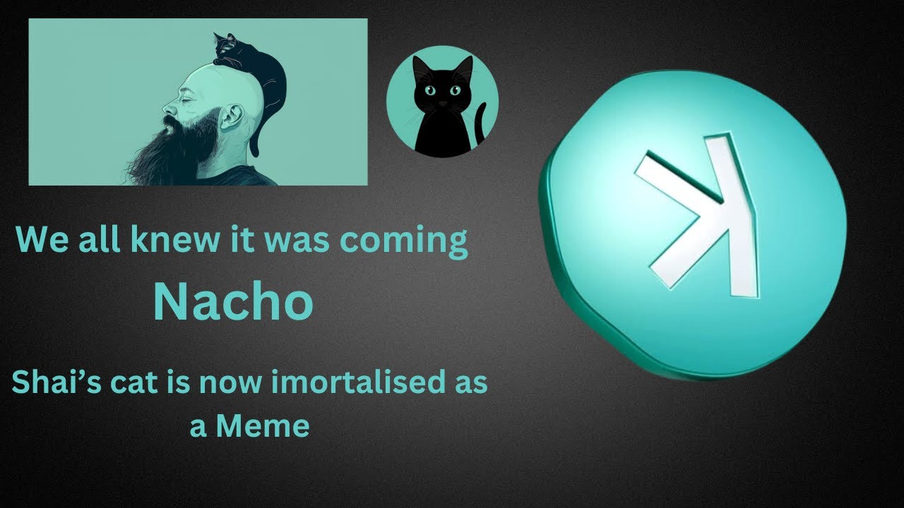 🐈 Kaspa Developer Shai's cat Nacho is now a meme🐈🚀🚀🚀🚀🚀