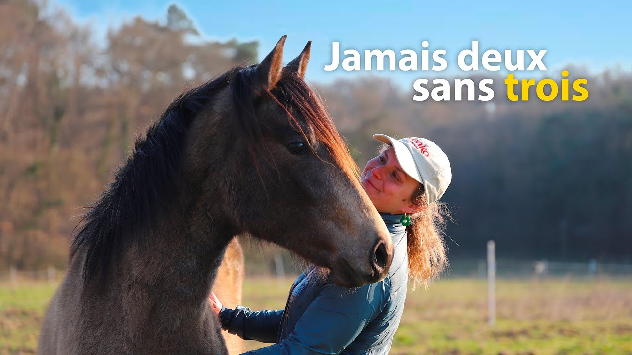 JE SUIS MAMAN... POUR LA TROISIÈME FOIS