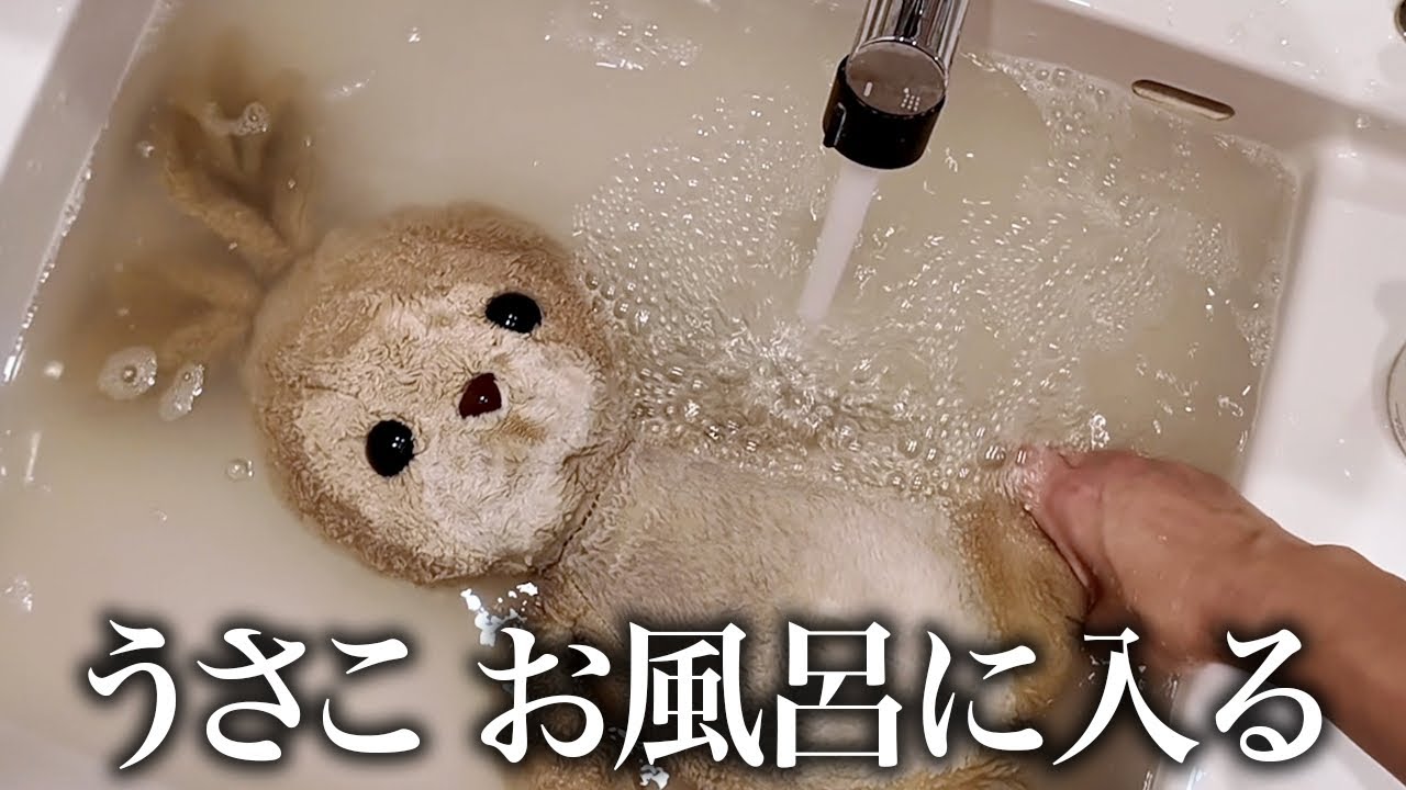 【風呂キャンセル界隈】生まれてからずっと一緒にいる愛するうさこを2年振りにお風呂に入れたらドブみたいな水出てきたよ🐰笑