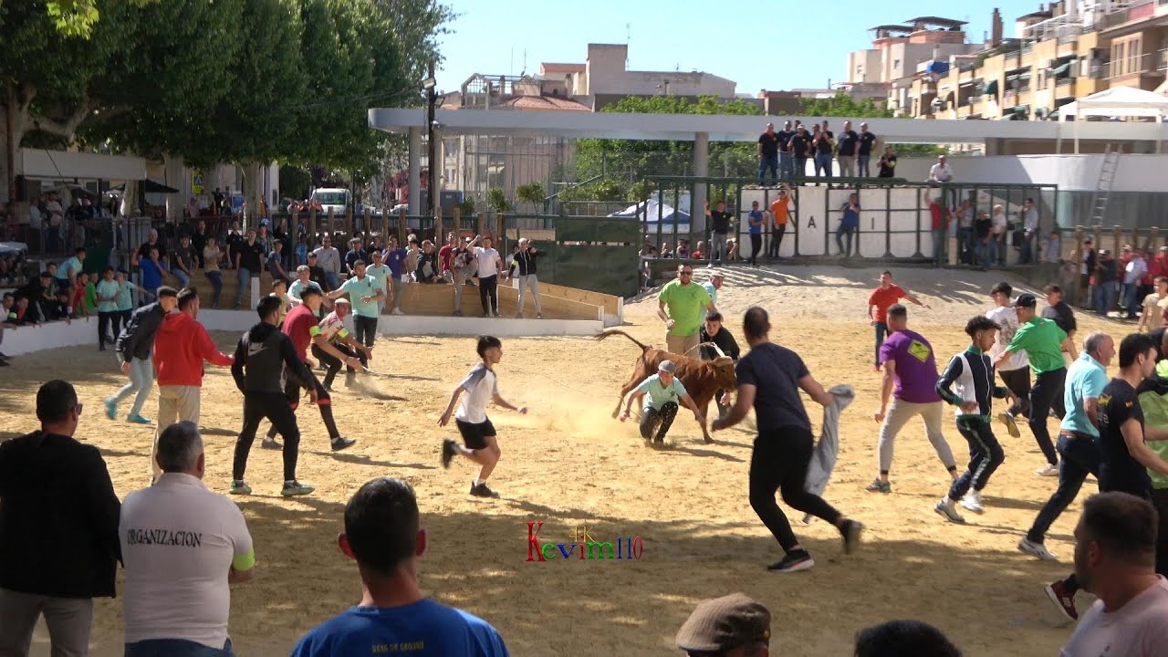 Beas de Segura 2024 San Marcos chico