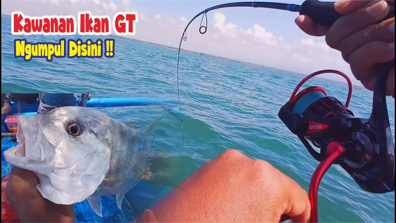 SPOT ANDALAN !! Mancing Disini Memang Spotnya Ikan GT