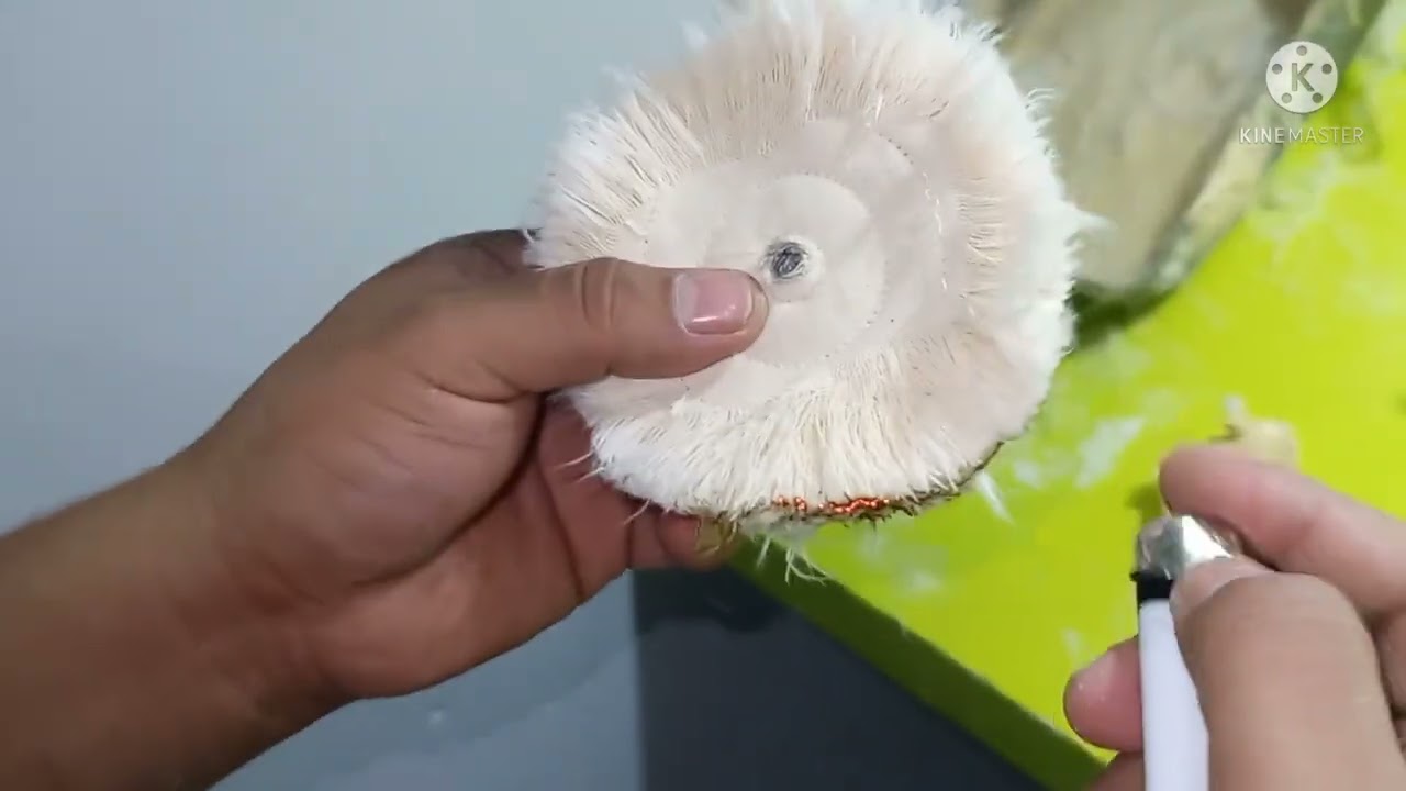como preparar tu manta para pulir tus prótesis dentales flexibles