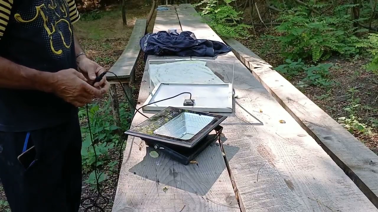 Cum arată curtea la troita din pădure 