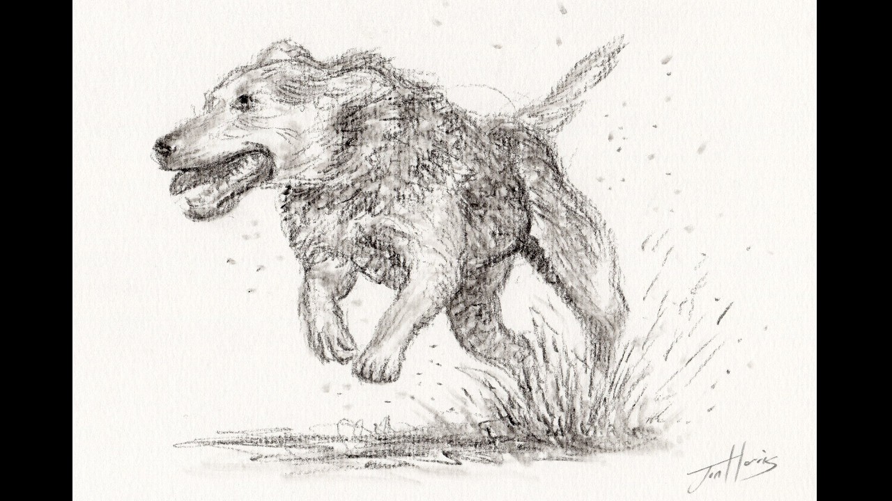Drawing Sketch of a Dog Running and Jumping with a Charcoal Pencil