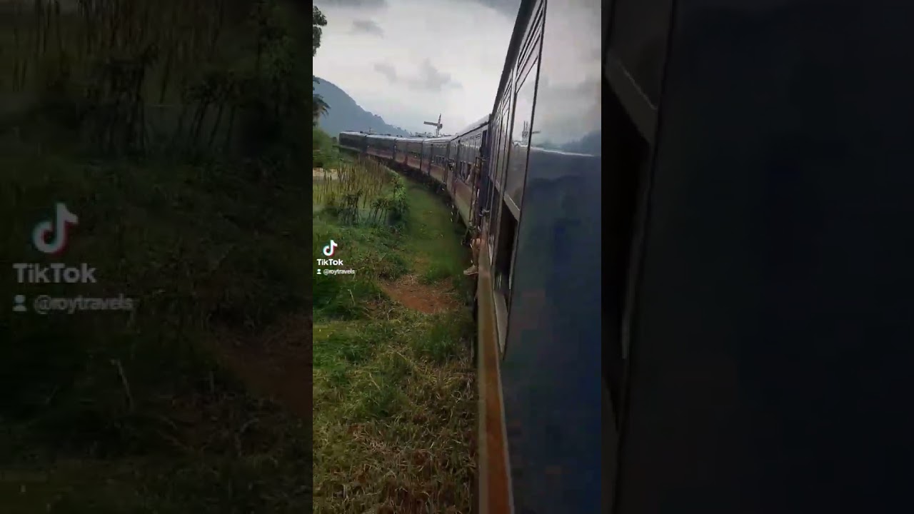 Train Ride Joy #subscribe #viral #trending #reels