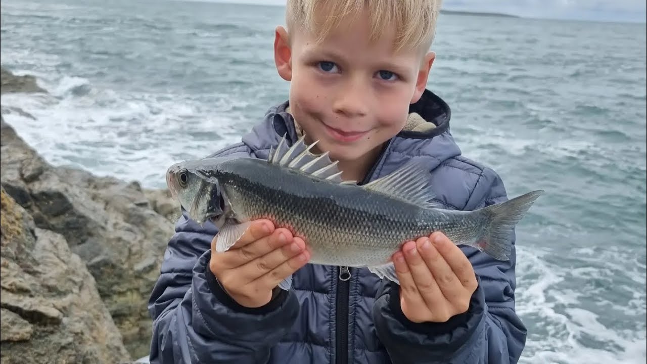 llyn peninsula fishing