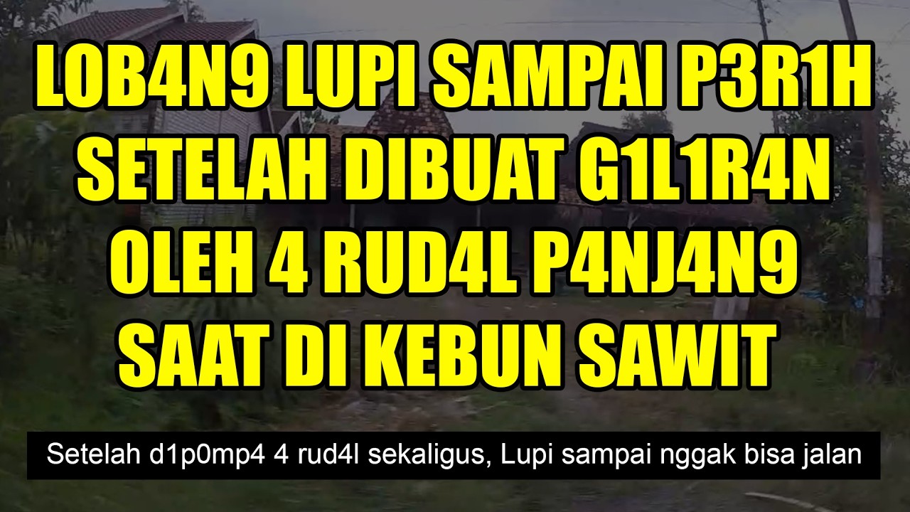 Kisah Nyata || Lupi Memberi Bantuan Kakek Sepulang Sekolah