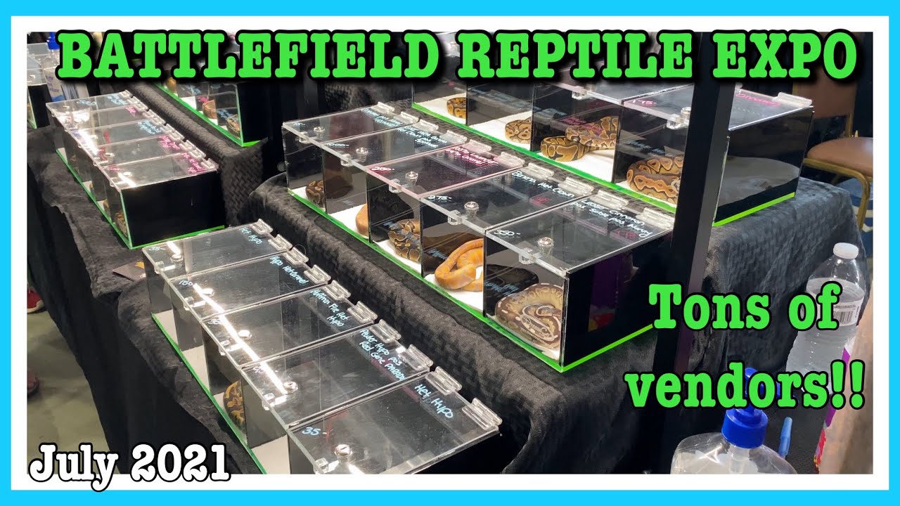 BATTLEFIELD REPTILE EXPO (July 2021)  | Tons of Vendors! | Geckos, Lizards, Snakes, Ball Pythons