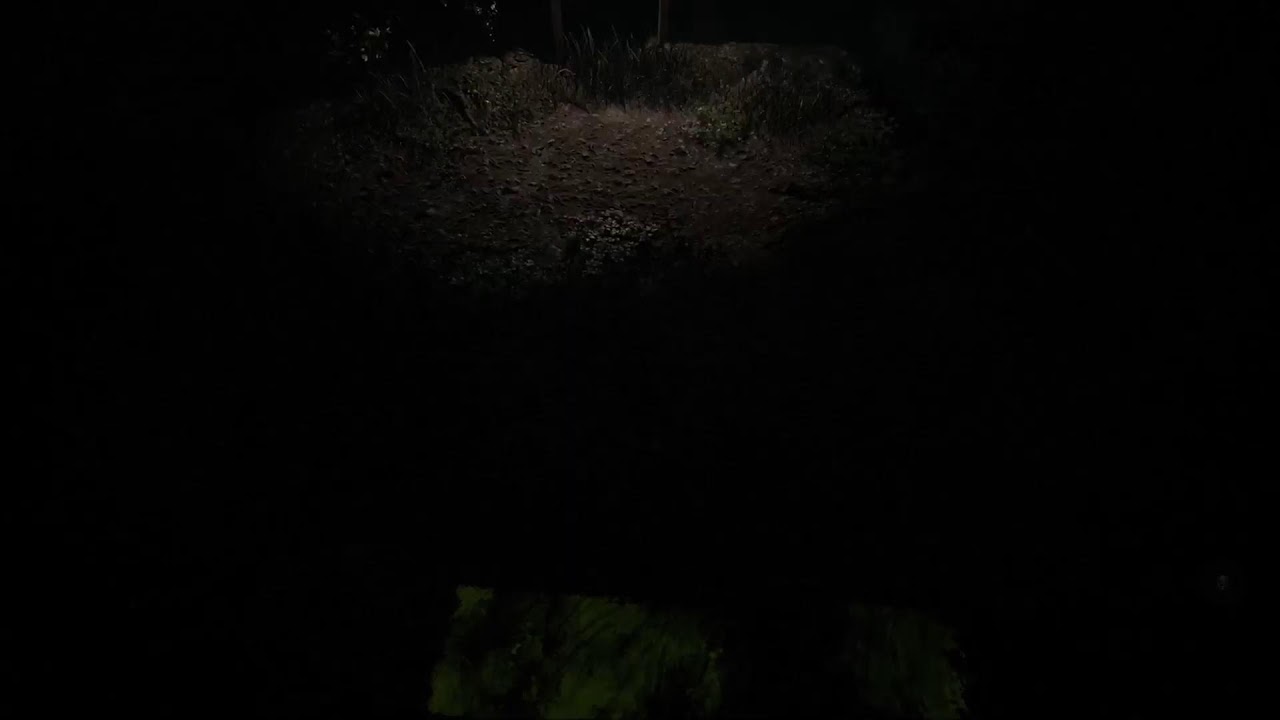 🔴 A Quiet Place: The Road Ahead  | PS5🔴