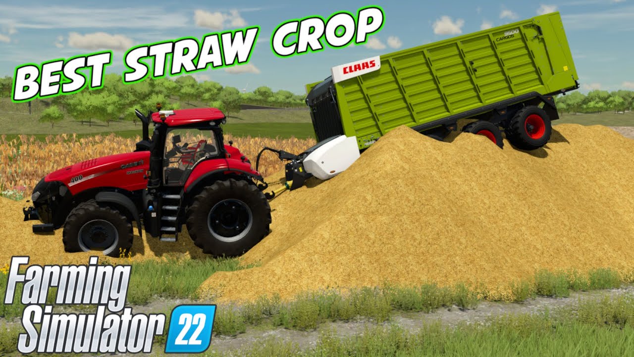 FS22 Which Crop Produces The Most Straw | Farming Simulator 22