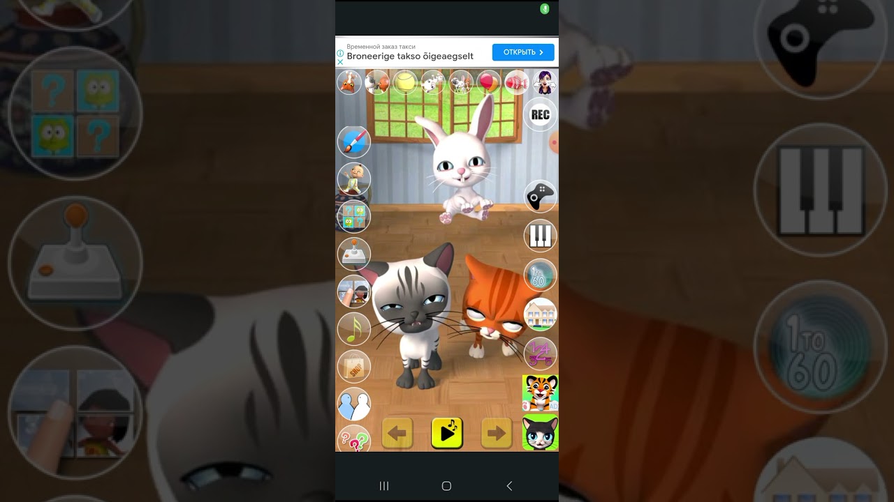 talking 3 friends cats and bunny app for iPhone iPad