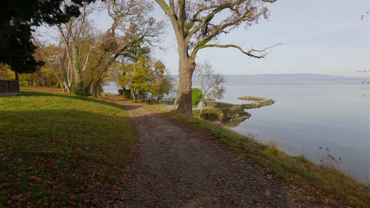 Walk in Domain of Rovorée, Yvoire during Autumn - A Park Near Lake Leman
