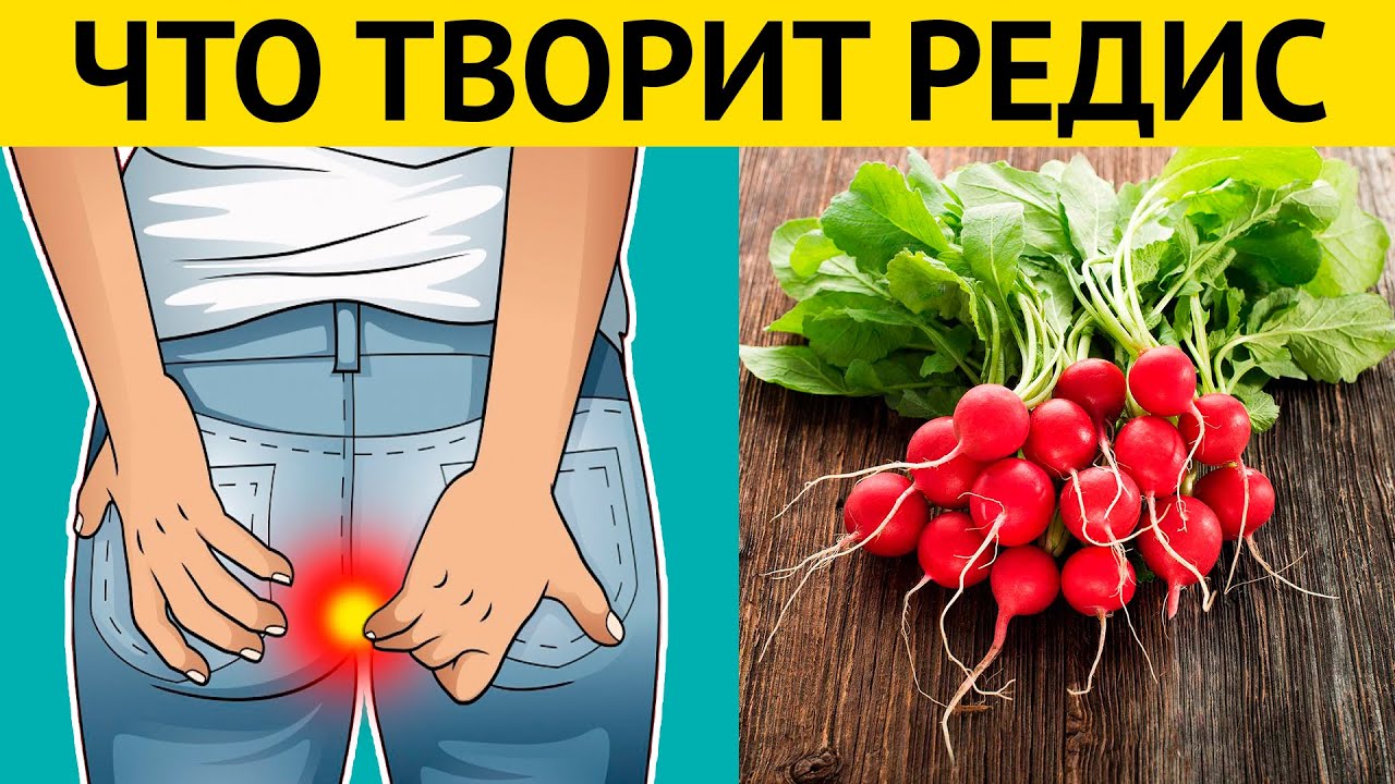 Даже одна РЕДИСКА вызывает НЕОБРАТИМЫЕ ПРОЦЕССЫ в организме! Врачи в шоке!