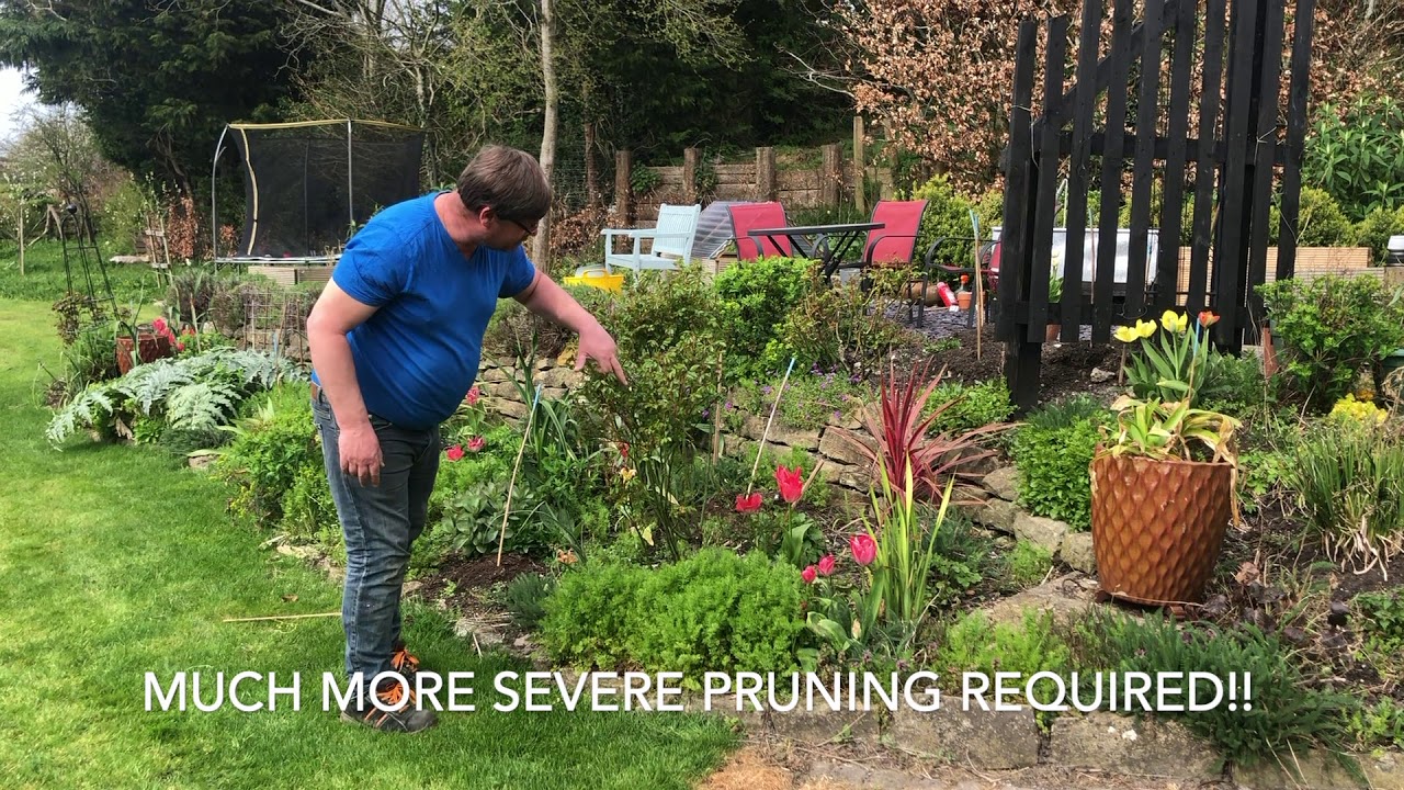 Garden project with Peter Biggs