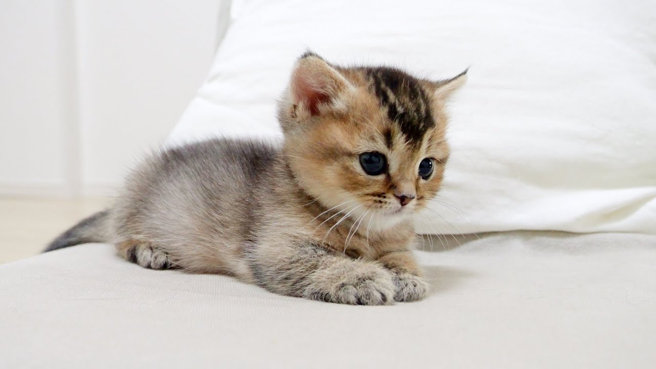 I will never give up on this seat!