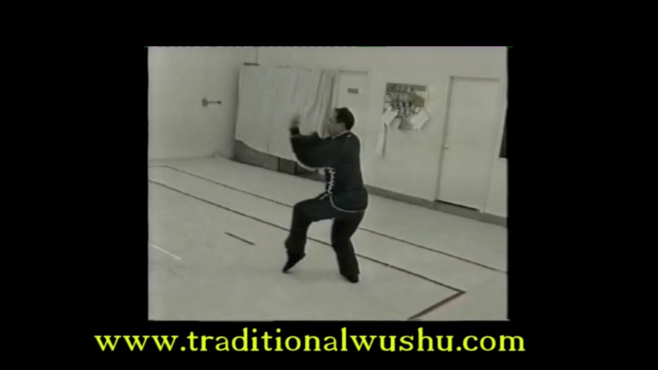 Great Grandmaster Lee Kam Wing Black Tiger Cross Form