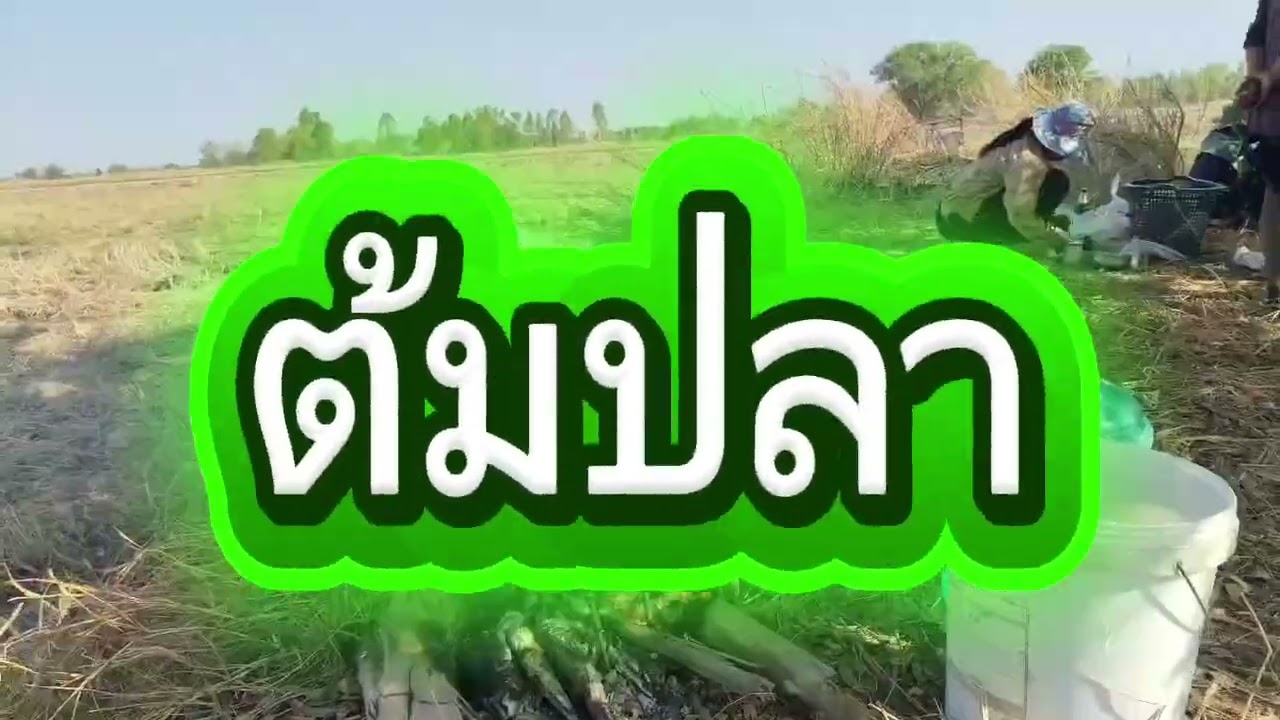 #Ep239 คลิปที่ 4  สวัสดียามเช้า#ก่อนลงจับปลา ทำต้มปลากินข้าวเช้า#มากินข้าวนำกันเด้อจ้า ชีวิตบ้านๆ