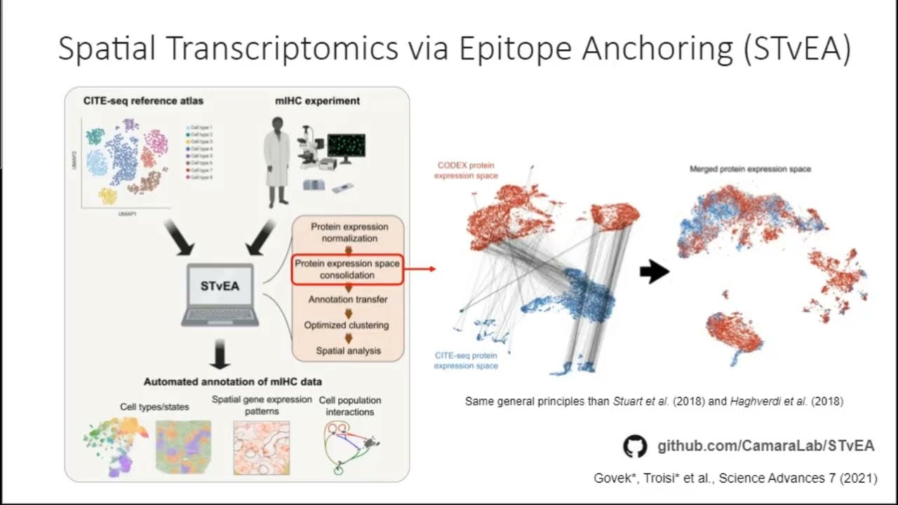 Transcriptome Guided Analysis of Highly Multiplexed Immunohistochemistry Images