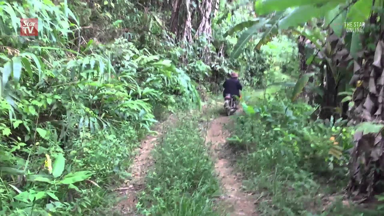 Illegal forest crossings from Thailand to Malaysia still exist