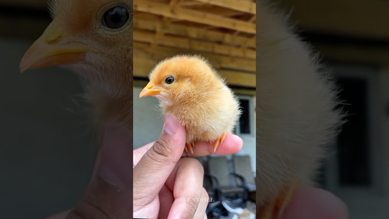 Small To Big Transformation!