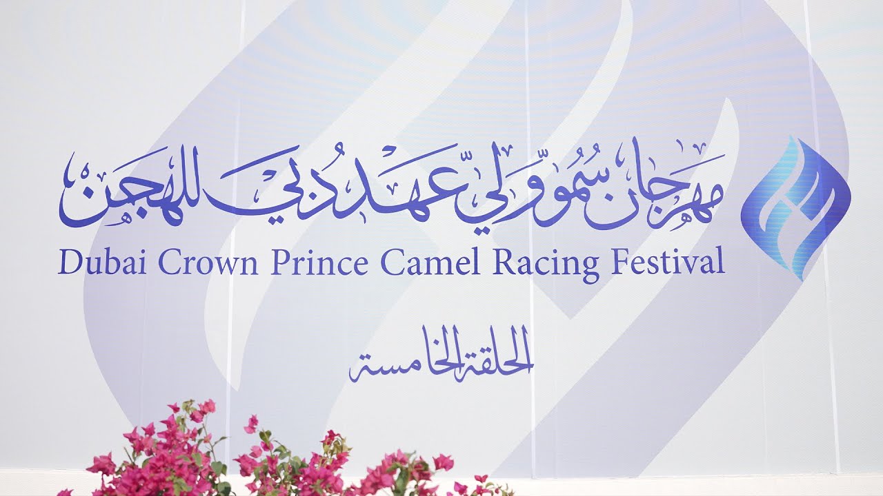 اهل الهجن - مهرجان سمو ولي عهد دبي للهجن/ هيثم الحمادي / الحلقة الخامسة / ١٤-١-٢٠٢٦