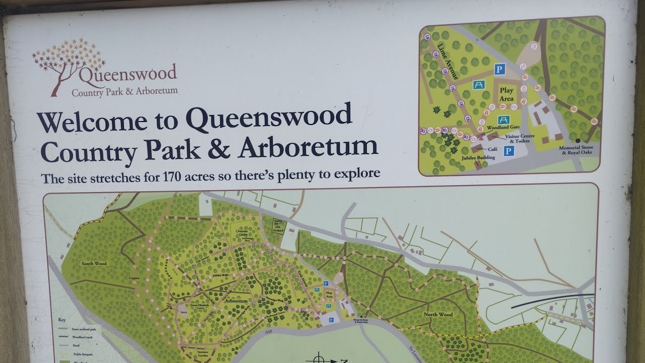 Queenswood Country Park re-visited 18/11/2025