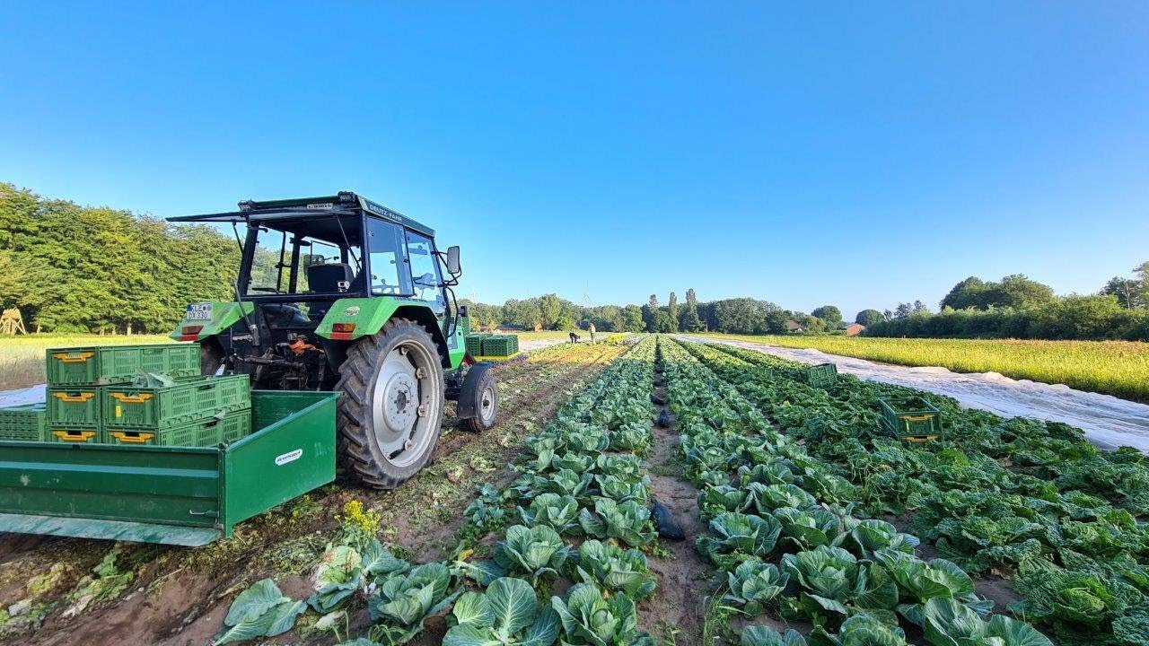 Gemüsebau Frühjahr 2021 auf dem Demeter Hof Büsch