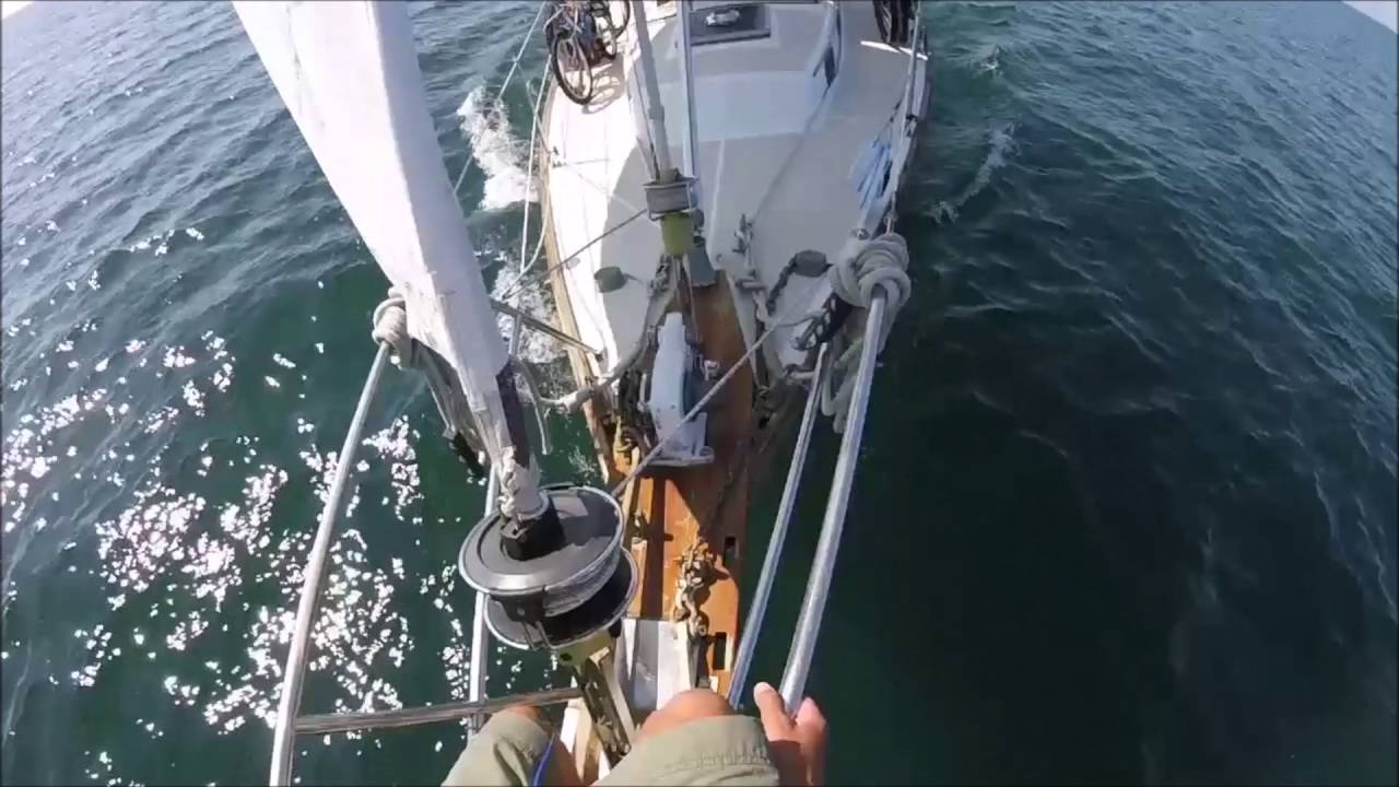 Cape Dory 36 sailing