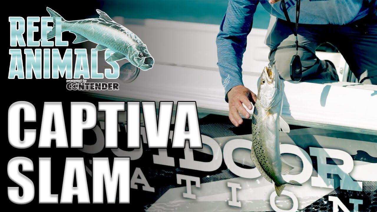 Reel Animals S19:E6 