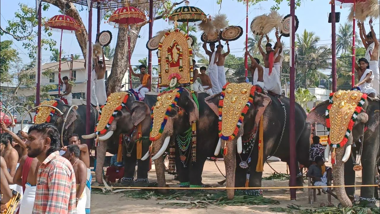 തൈപൂയം 🤩🤩