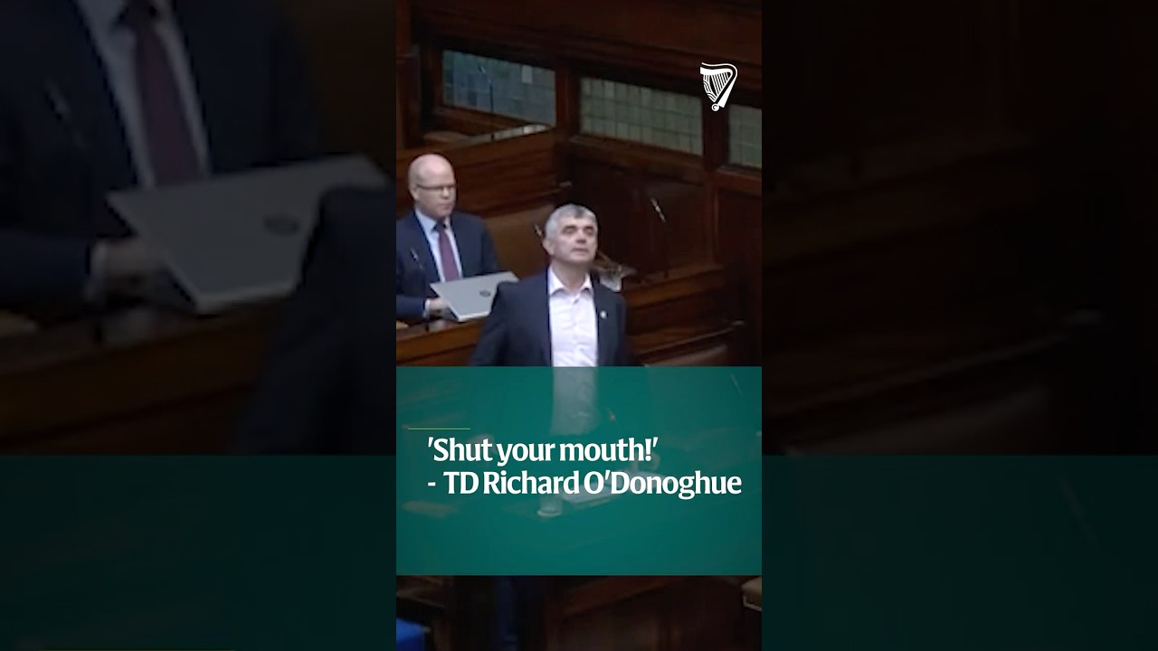 'Shut your mouth!' - TD Richard O'Donoghue heckled during D&aacute;il debate on trans healthcare