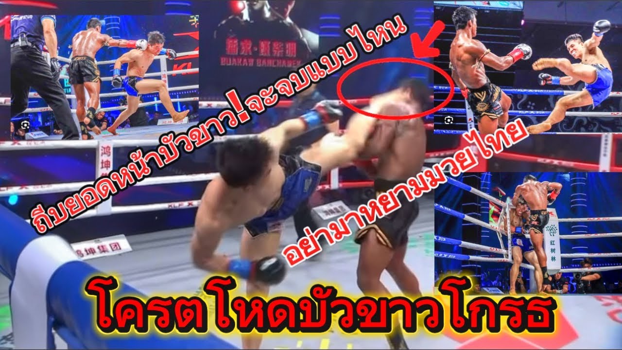 “นี่คือบัวขาว… เวอร์ชั่นที่โลกต้องกลัว!”Buakaw Head Kick Knockout | Muay Thai Monster!#knockout