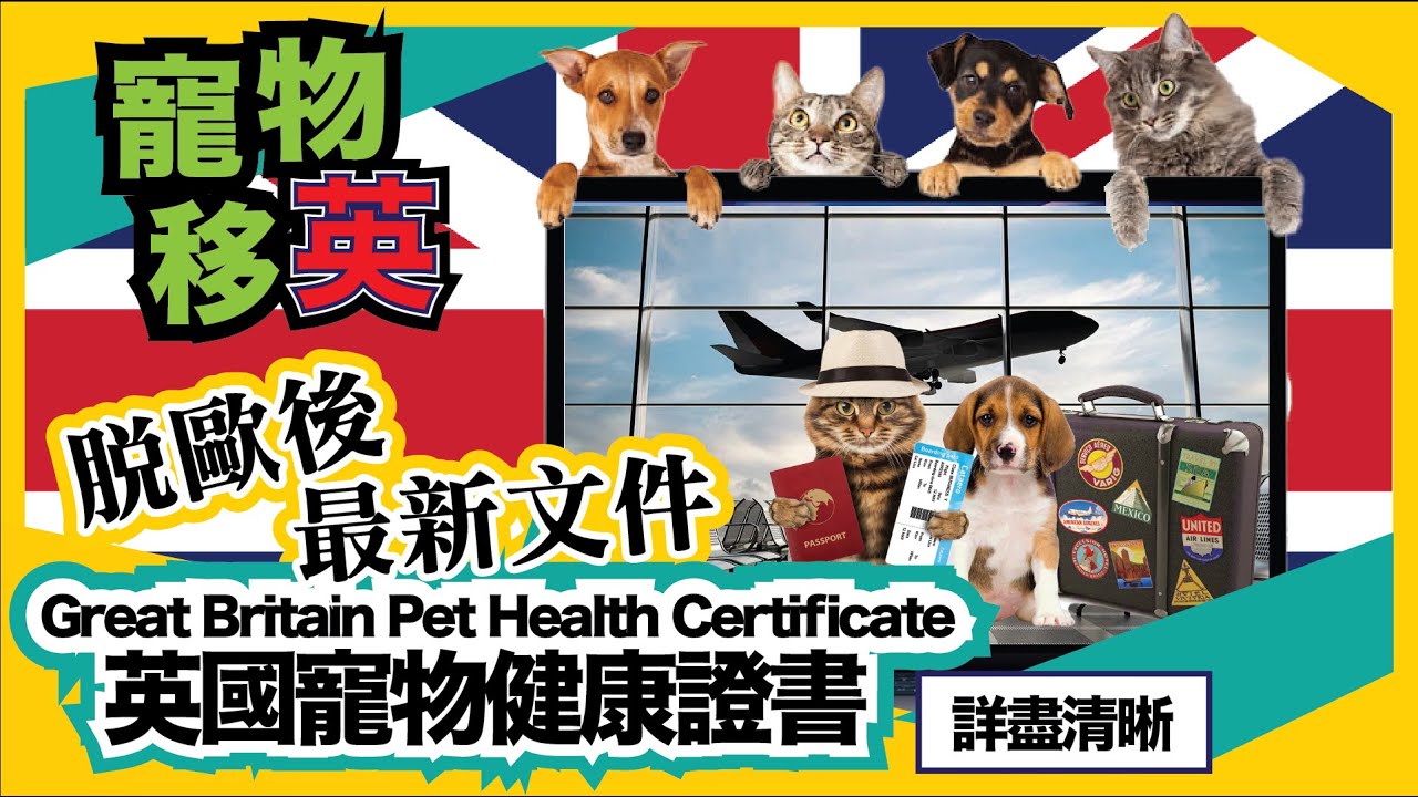 【英國寵物健康證書】10分鐘學識點填 + 詳細解釋每一個需要注意事項 ｜ 每一個重點都唔可以走漏眼！ ！ 香港人移民資訊BB班
