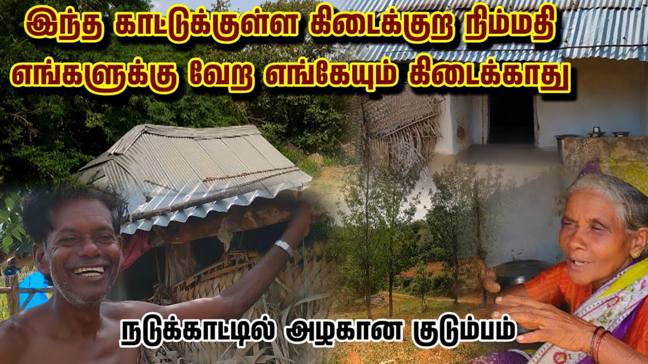 இந்த காட்டுக்குள்ள கிடைக்குற நிம்மதி எங்களுக்கு வேற எங்கேயும் கிடைக்காது | அழகான குடும்பம் |