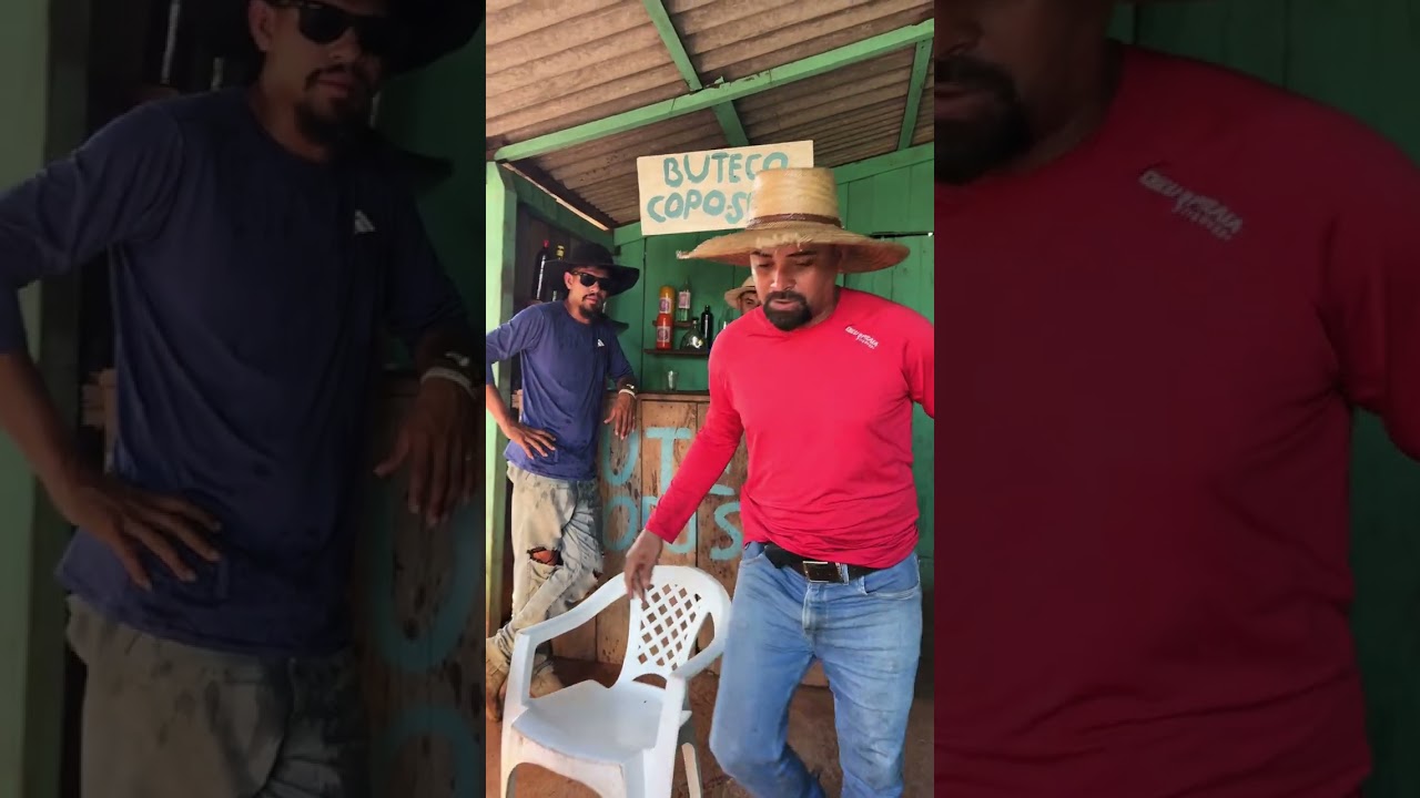 Lagartixa se deu mal 
