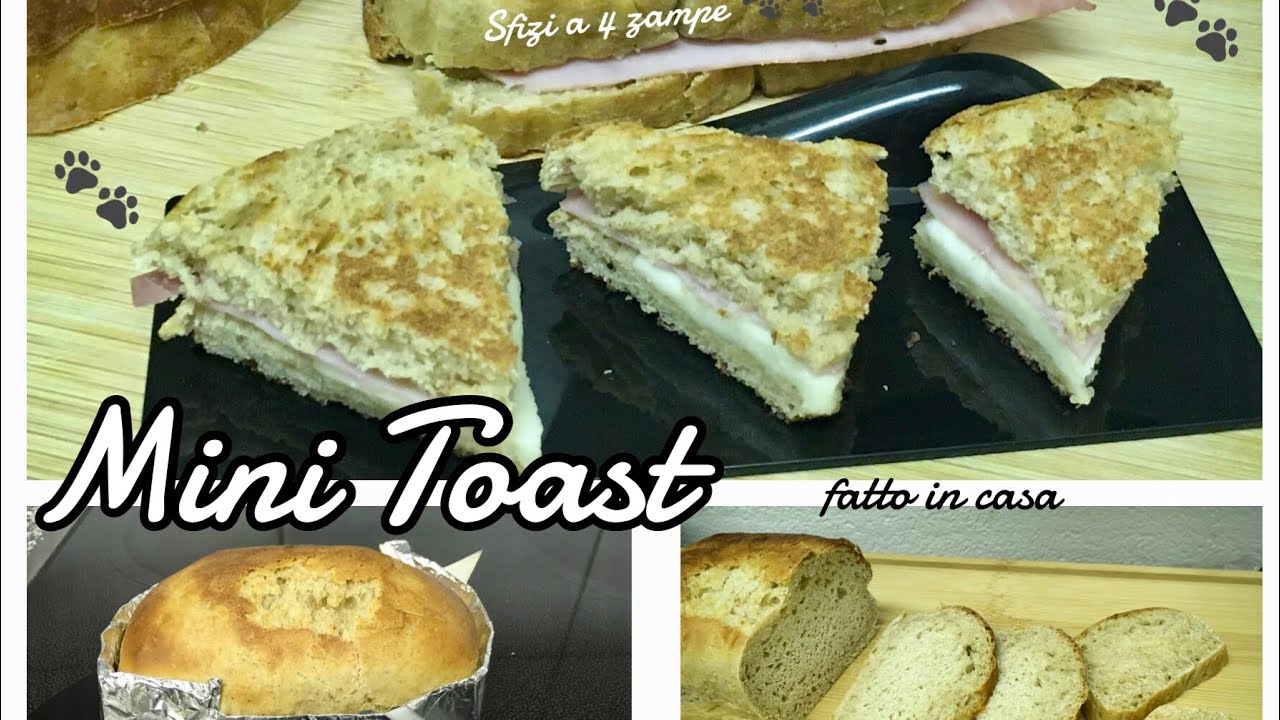Mini Toast per cani -Mini Toast for dogs - Sfizi a 4 zampe 🐾🐾