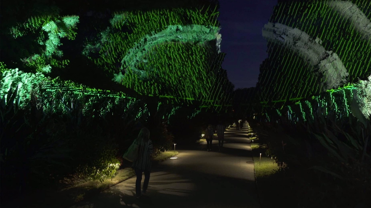 Nightscape: A Light and Sound Experience at Longwood Gardens  - Year 2