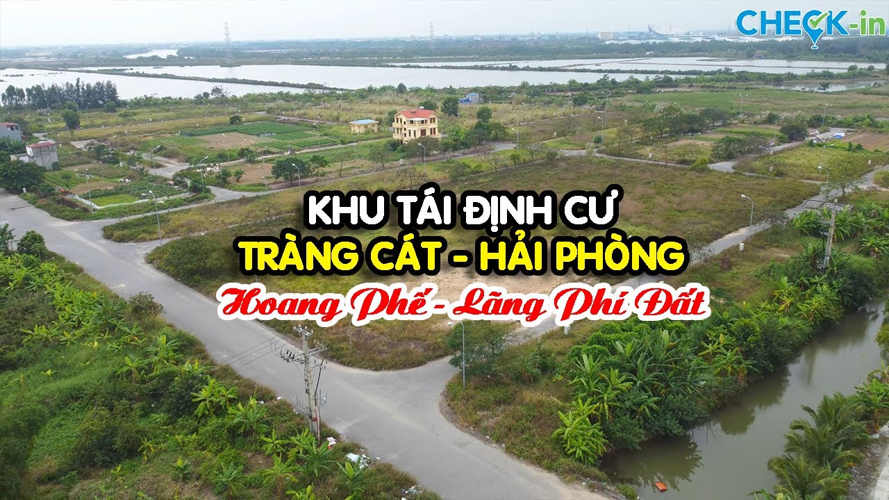 Khu Tái Định Cư Tràng Cát Hải An Hải Phòng Bao Năm Bỏ Hoang Phế Lãng Phí Đất Đai | Check in