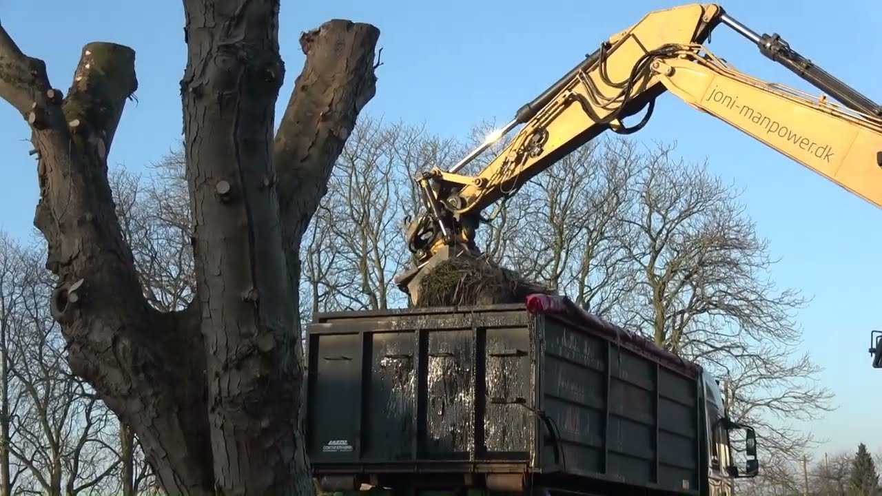 Gadekæret  2025 m2ts 2