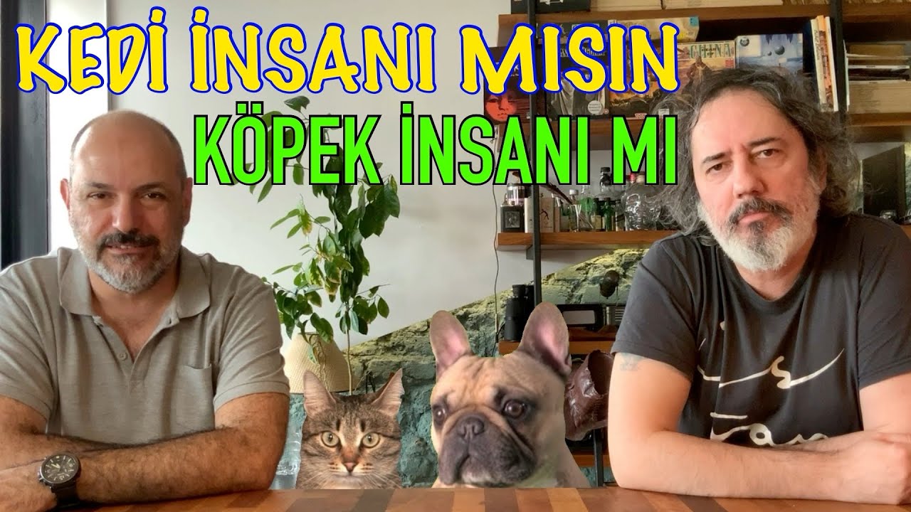 KEDİ İNSANI MISIN KÖPEK İNSANI MI! Artık Meraklanmana Gerek Yok.