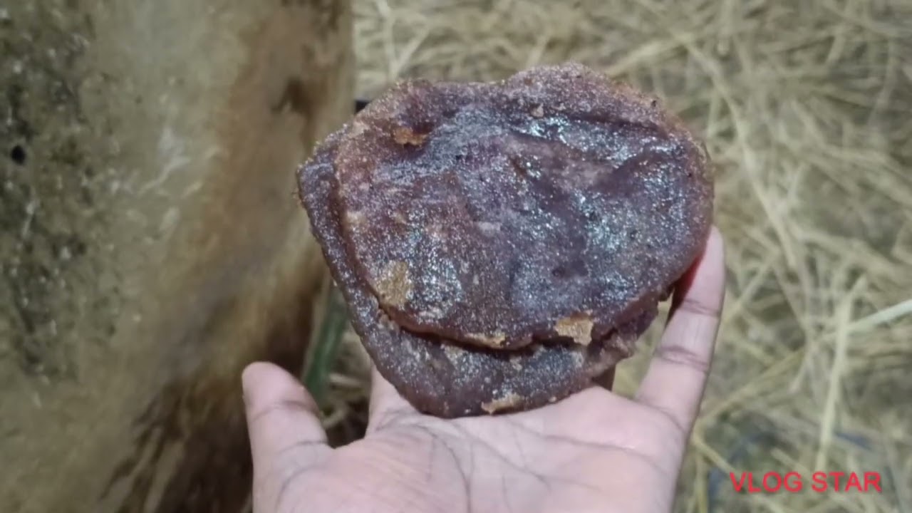 The Kharam Thadoi Village, 31st Dec Night Gathering Video Collection 