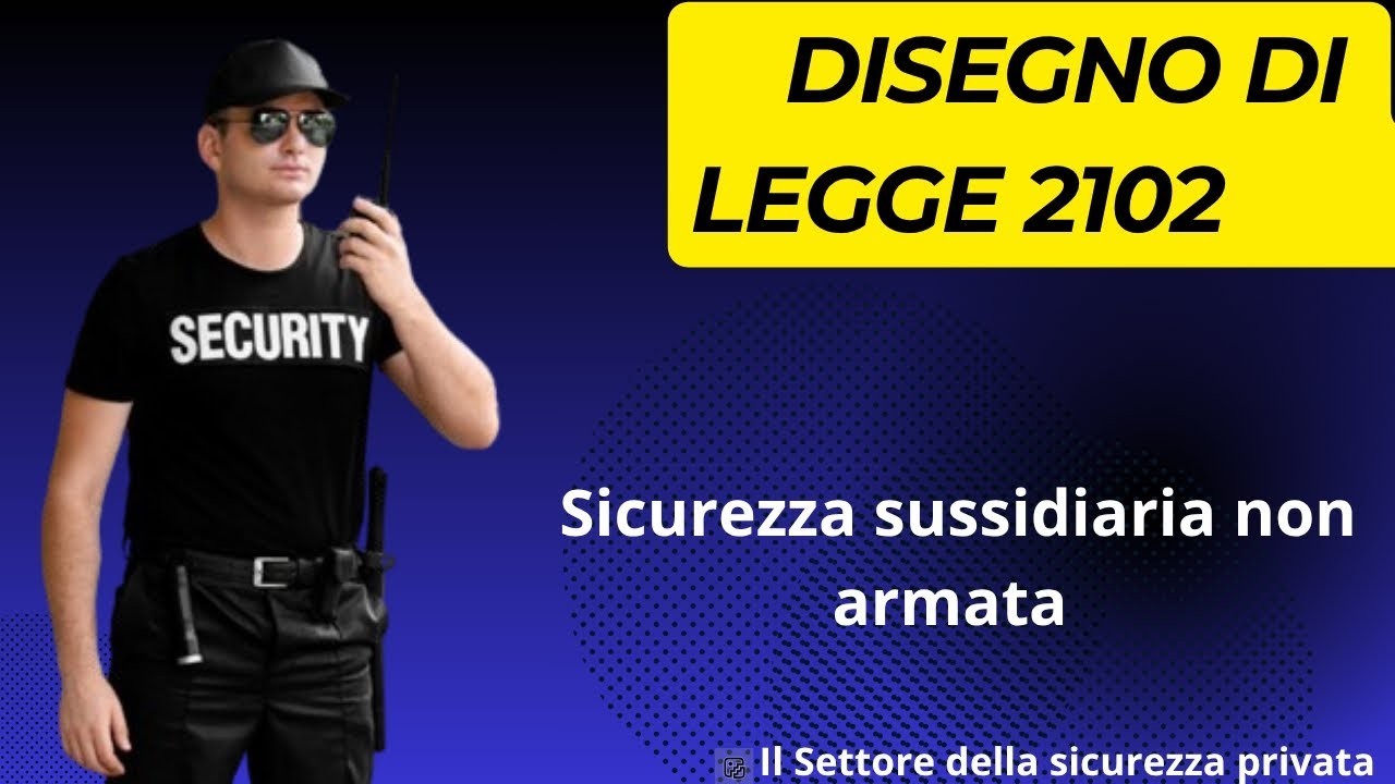 DDL 2102 – Riforma della “Sicurezza sussidiaria non armata 