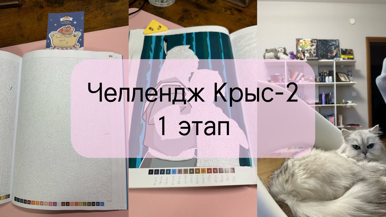 Челендж КРЫС 2 - Город любви l 1 этап