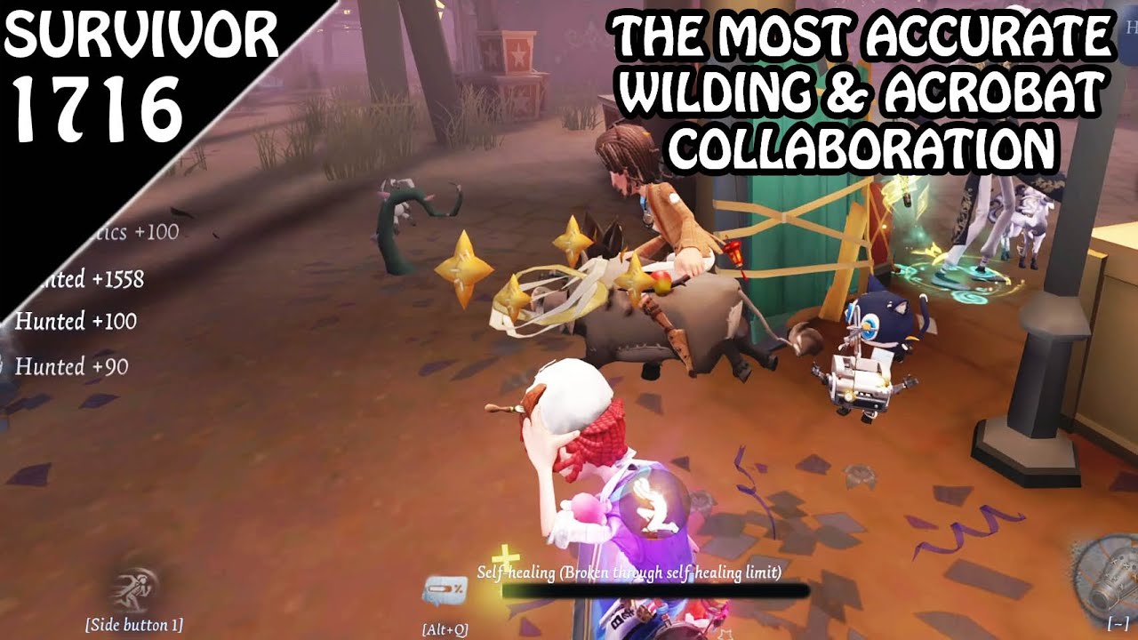 Acrobat & Wilding Most Accurate Rank Lore - #ManorMystery #IdentityV