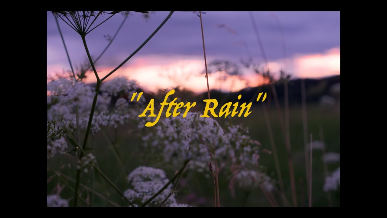 After rain // 4K video