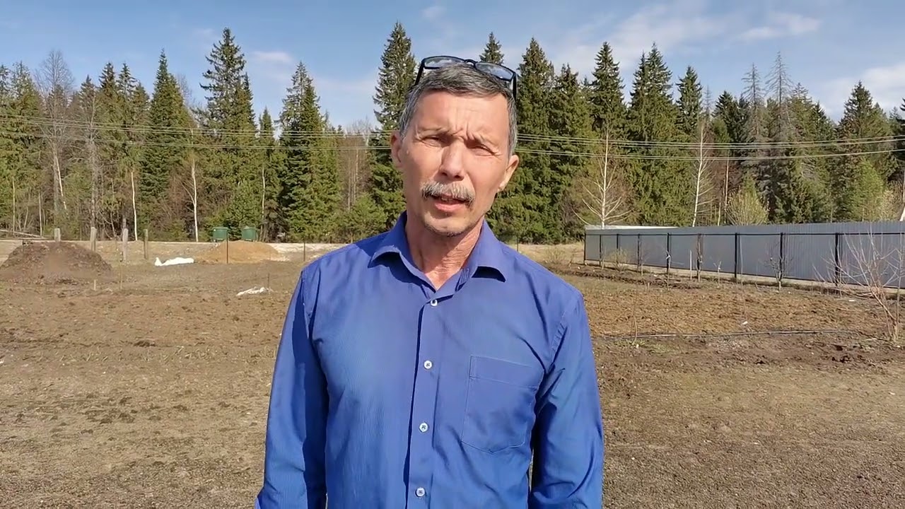 Обрезка саженцев после покупки и далее