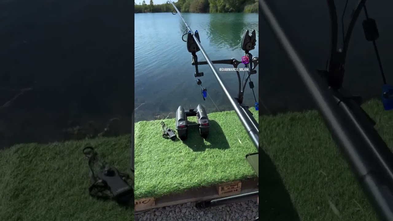 Carpfishing | Carp run Fox RX+