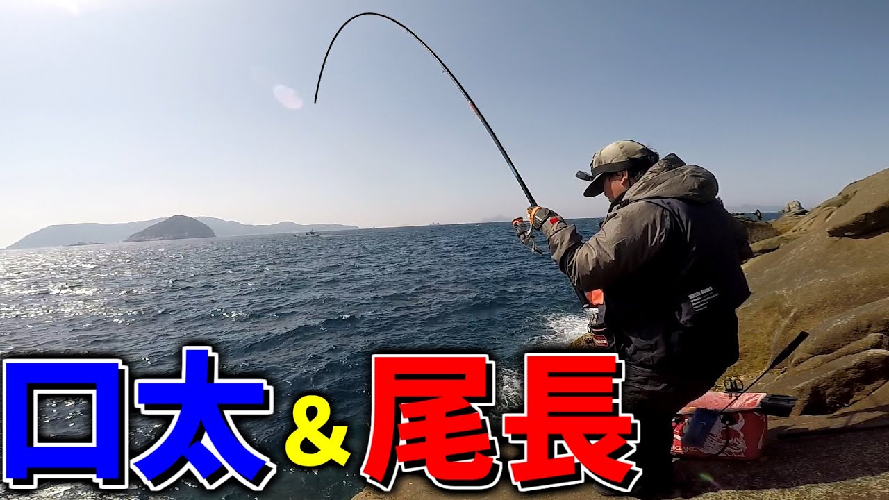 尾長グレの名礁から逃げたその先で・・・