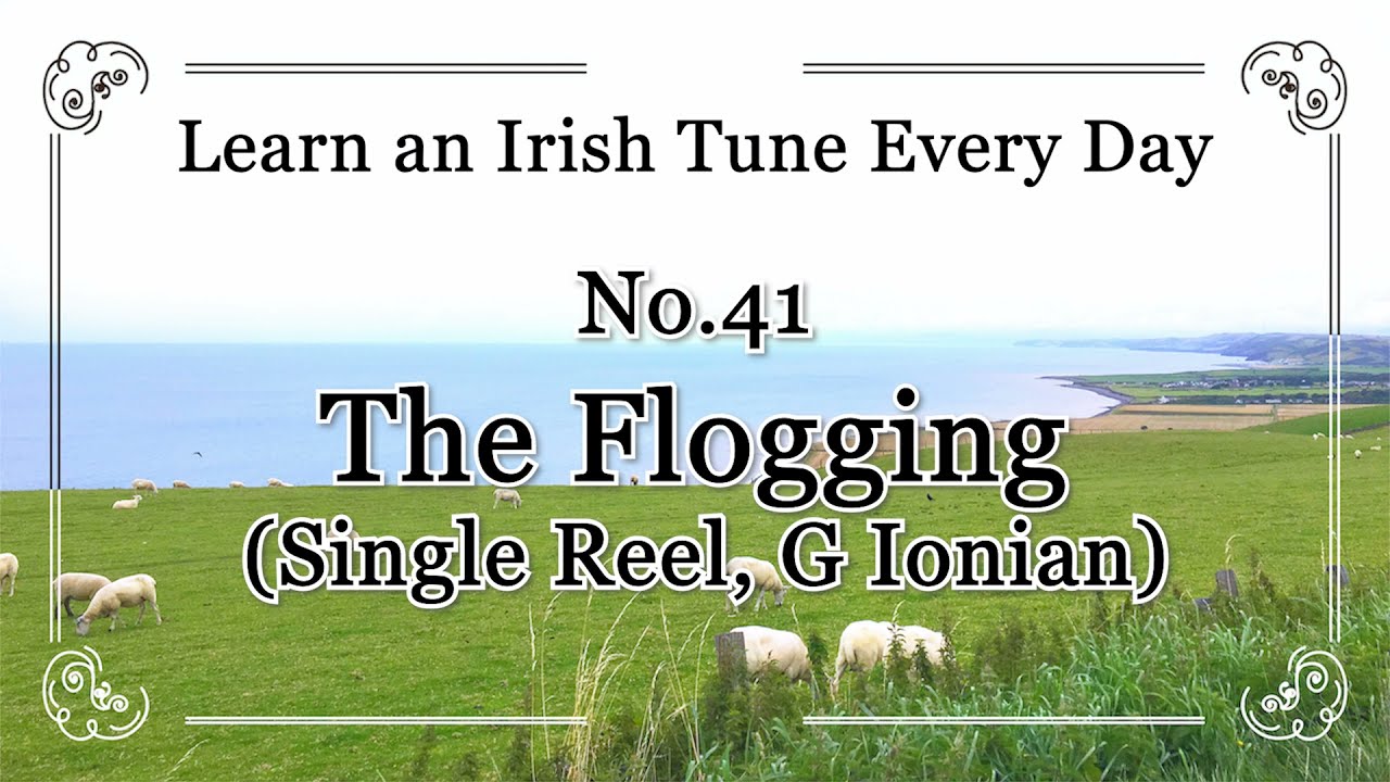 041 The Flogging (Single Reel, G Ionian)  Learn an Irish Tune Every Day.